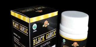 Tempat Jual Black Garlic Di Makassar
