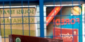 Foredi Makassar Promo Beli 1 Box Gratis 1 Sachet foredi makassar