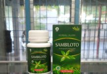 Penjual Kapsul Sambiloto Di Makassar kapsul sambiloto makassar