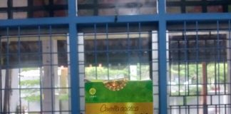 Tempat Jual Kapsul Daun Pegagan Di Makassar kapsul daun pegagan makassar