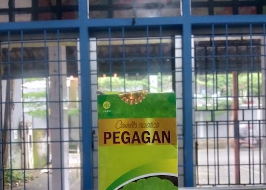 Tempat Jual Kapsul Daun Pegagan Di Makassar kapsul daun pegagan makassar