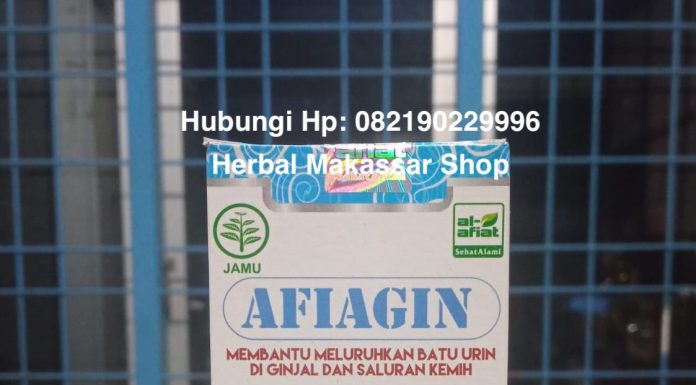 Jual Obat Batu Ginjal Di Makassar obat batu ginjal