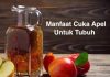 Manfaat Cuka Apel Yang Jarang Diketahui manfaat cuka apel