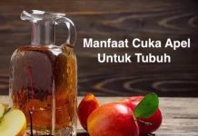 Manfaat Cuka Apel Yang Jarang Diketahui manfaat cuka apel