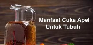 Manfaat Cuka Apel Yang Jarang Diketahui manfaat cuka apel