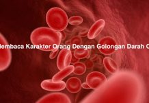 Membaca Karakter Orang Dengan Golongan Darah O Membaca Karakter Orang Dengan Golongan Darah O