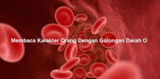 Membaca Karakter Orang Dengan Golongan Darah O Membaca Karakter Orang Dengan Golongan Darah O